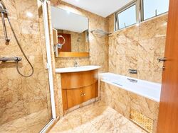 Rafflesia Condominium (D20), Condominium #632089231